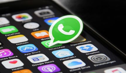 Бизнес с WHAT'S APP